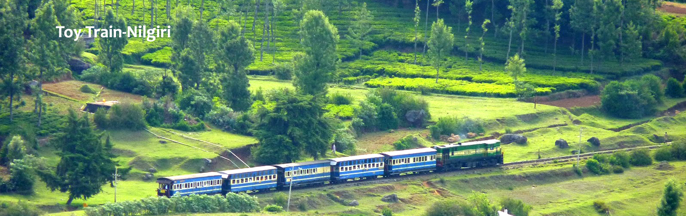 Toy Train-Nilgiri